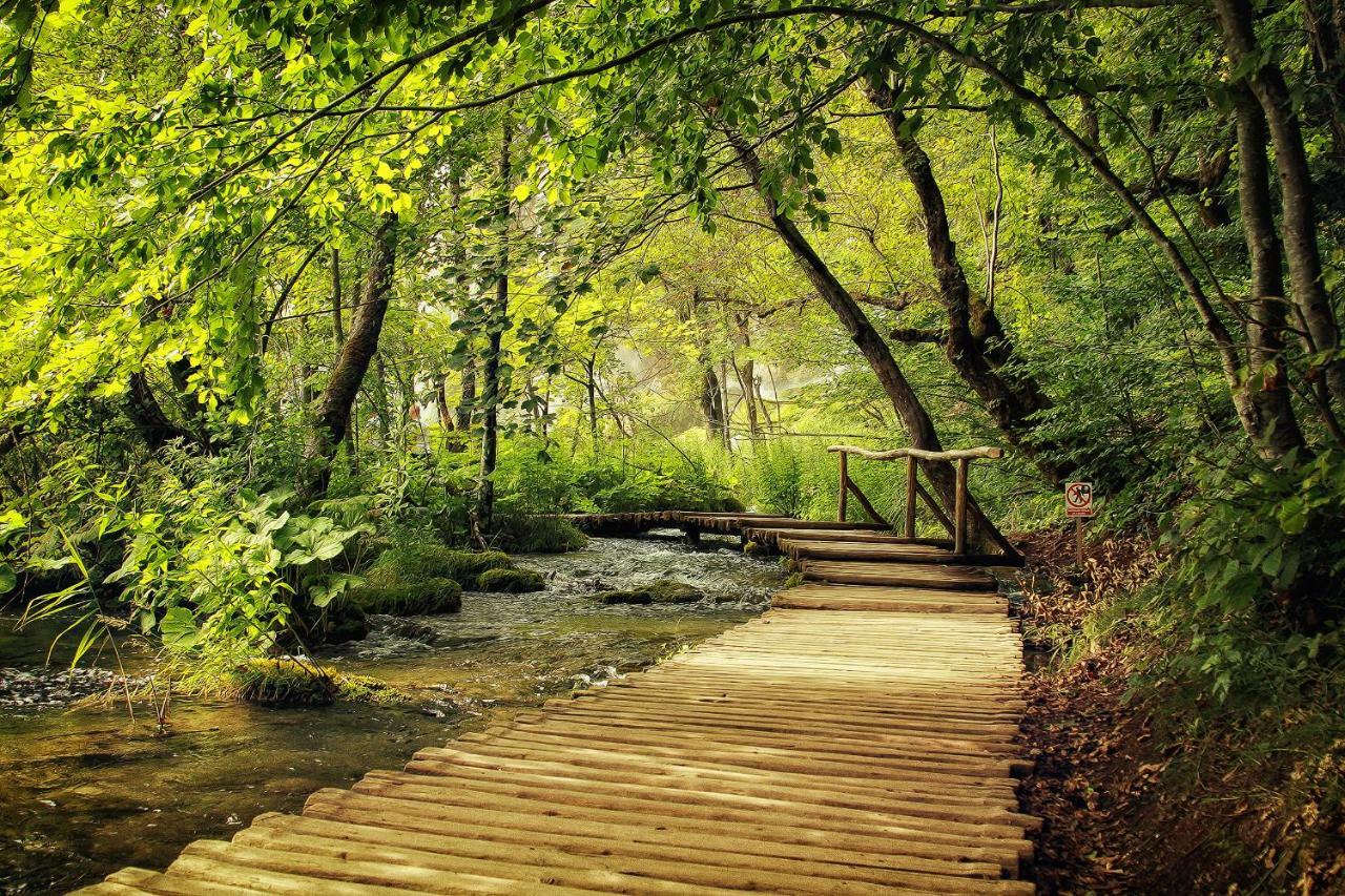 Apartman Lujko Plitvice Plitvička Jezera المظهر الخارجي الصورة